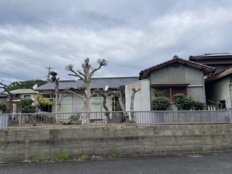 剪定・草刈り作業