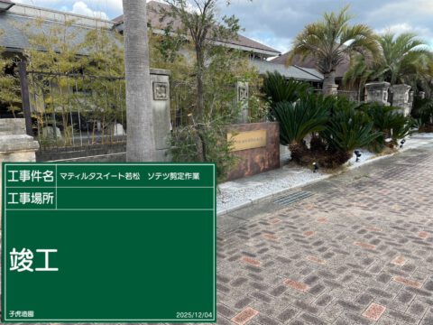ソテツ剪定作業
