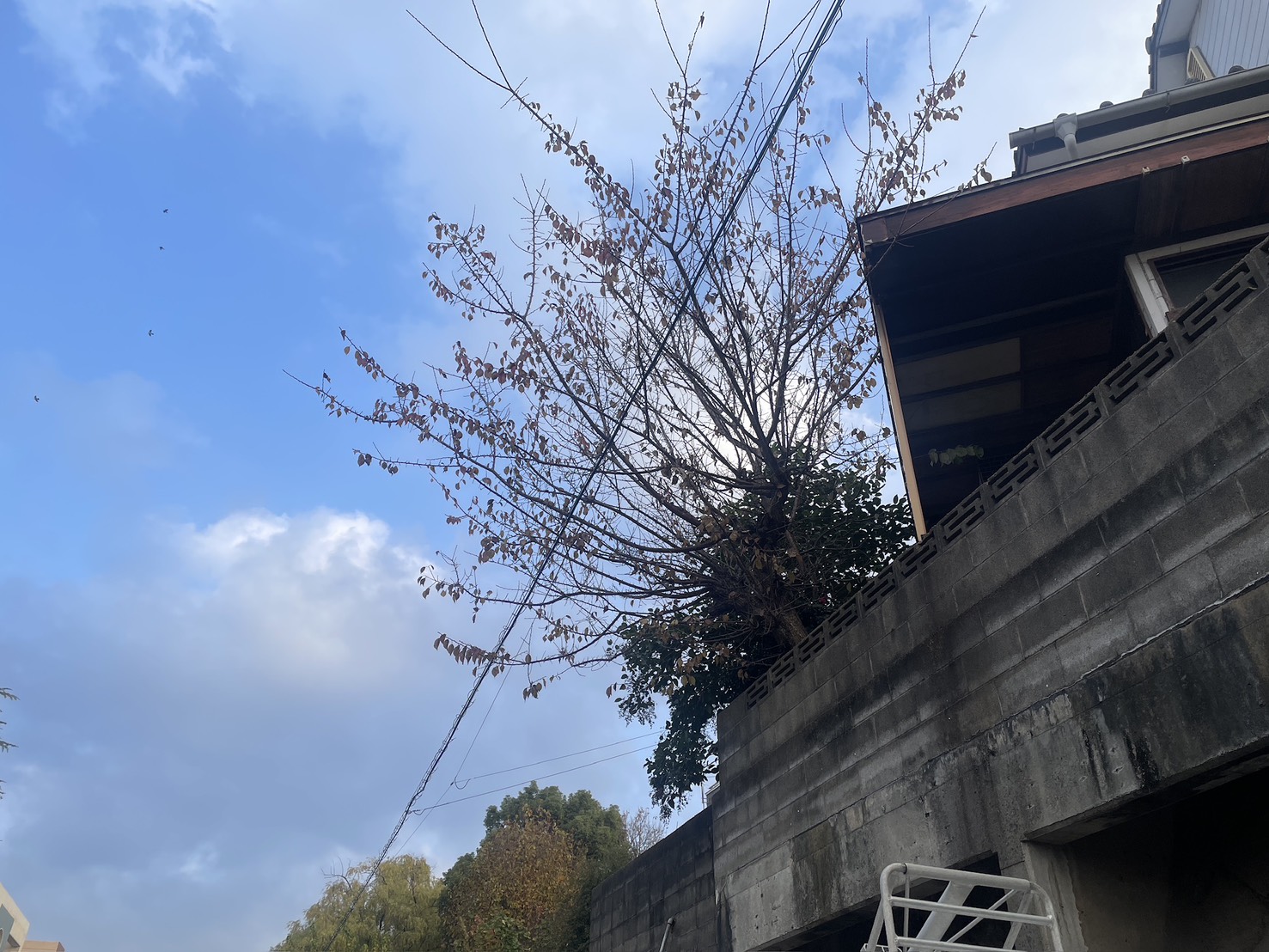 作業前