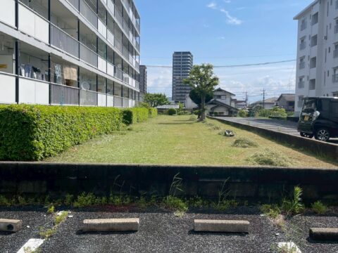 UR公社年間剪定・草刈り作業