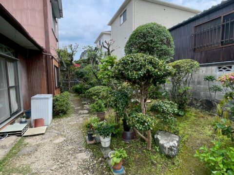カイヅカ等剪定作業