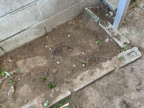 クスノキの抜根作業