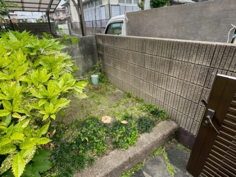 紅葉伐採作業