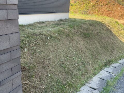 除草作業