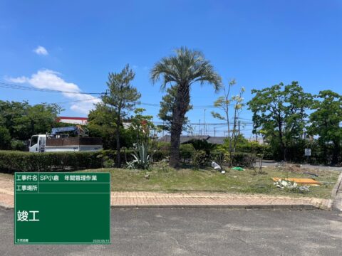 セントラルパーク小倉年間管理作業